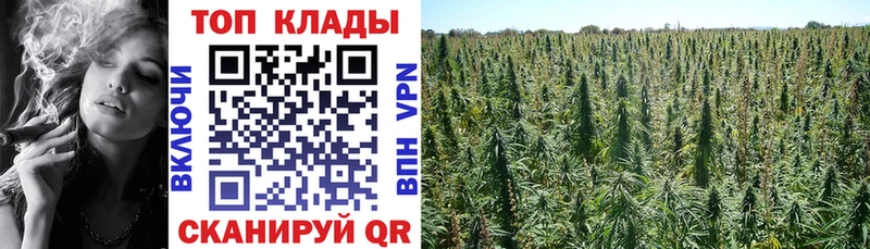Купить Западная Двина А ПВП  Меф  Гашиш  АМФ  Кокаин 