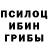 Галлюциногенные грибы прущие грибы Gino Ballan