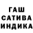Каннабис сатива Gabriel Ranauro