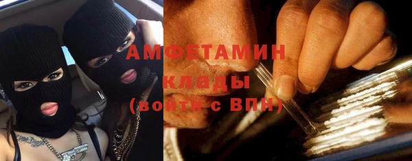 трава Белокуриха