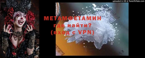 трава Белокуриха