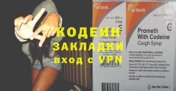 трава Белокуриха