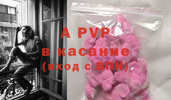 трава Белокуриха
