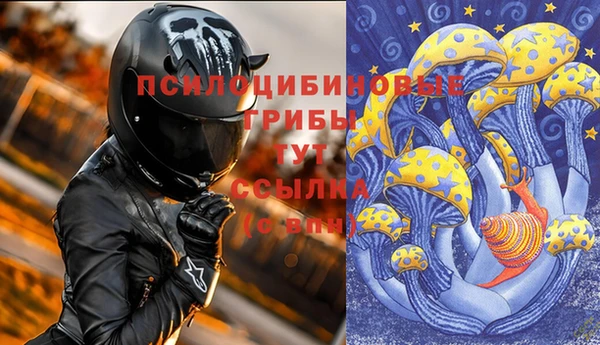 дурь Беломорск