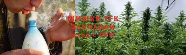 трава Белокуриха